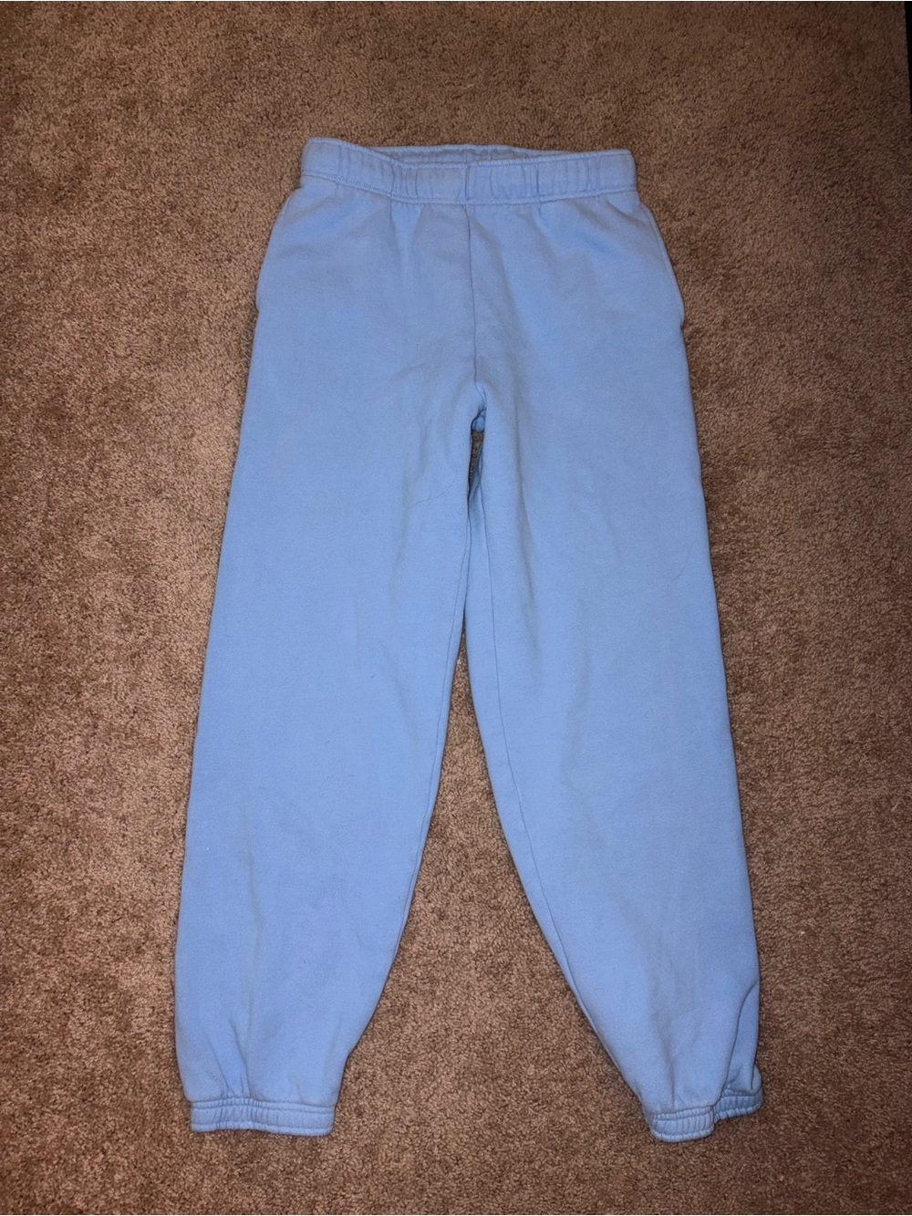 Aritzia Pastel Blue Fleece Track Pants